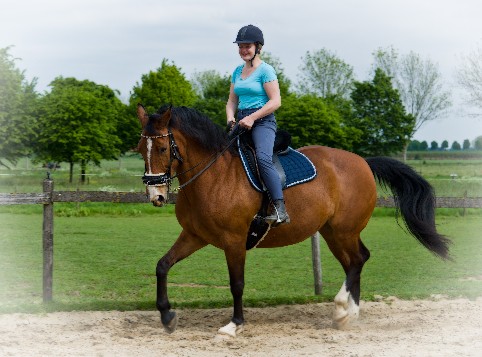 Mijn eigen paard Touchy (Untouchable 2001)